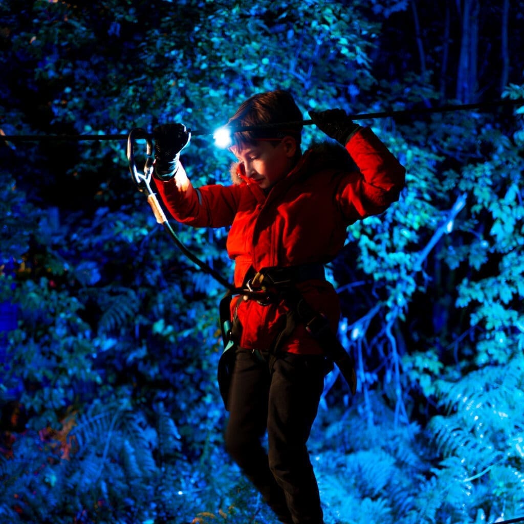 Person On Illuminated High Ropes